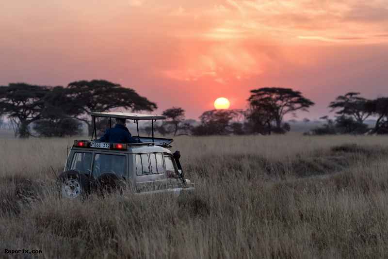 Overlanding in Africa: Everything You Need to Know for Your Adventure