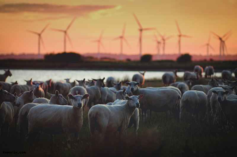 Sustainable Startups: Green Business Ideas for a Better Future