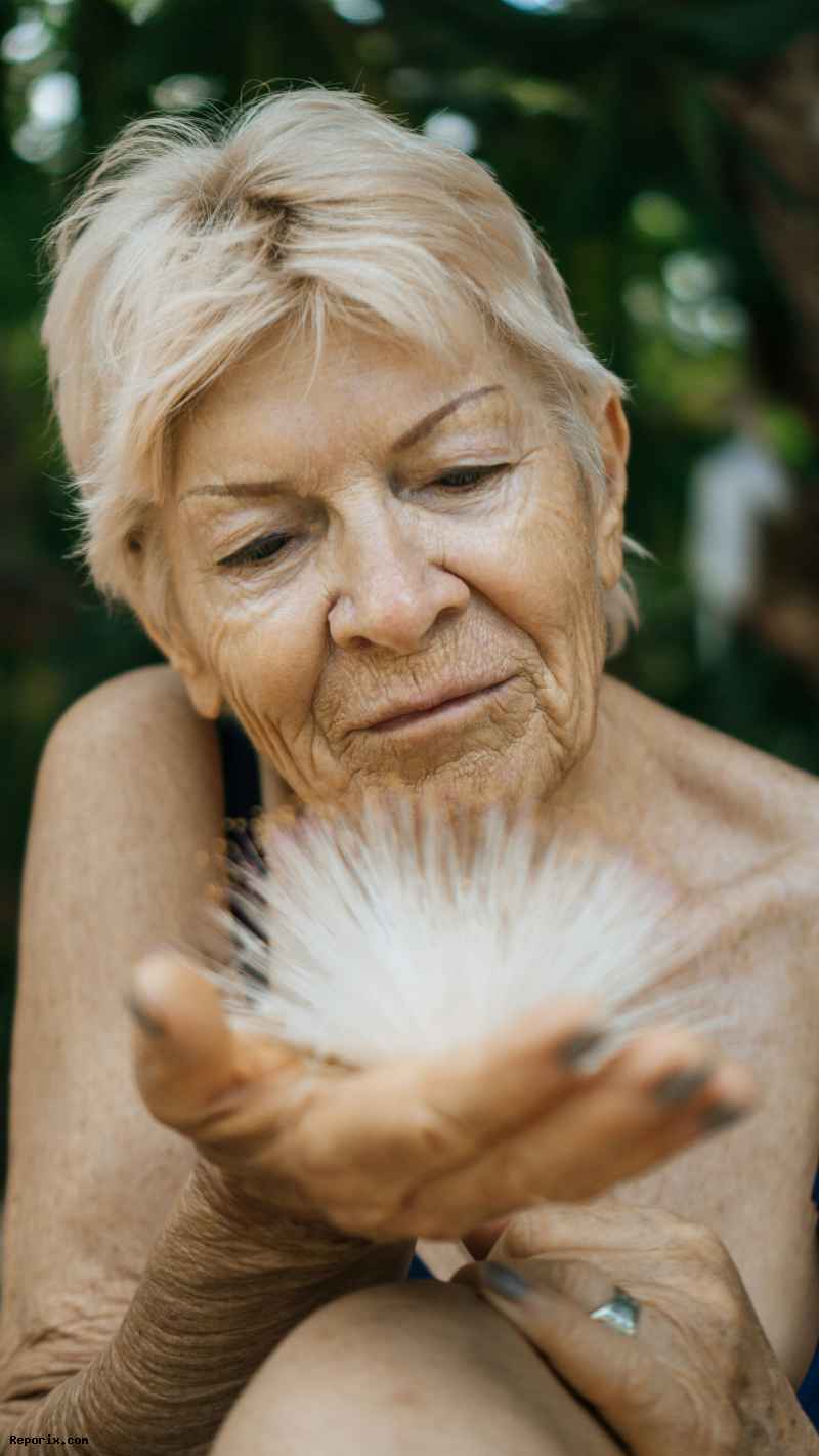 The Problem of Being Old: How Modern Society Overlooks the Value of Wisdom